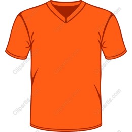 Orange V-Neck T-Shirt