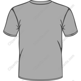 Gray T-Shirt