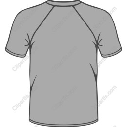 Gray T-Shirt