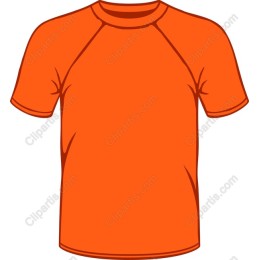 Orange T-Shirt