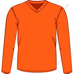 Orange Long Sleeve V-Neck T-Shirt