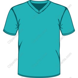 Teal V-Neck T-Shirt