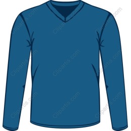 Long-Sleeve V-Neck Shirt