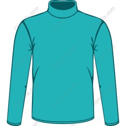 Turquoise Long Sleeve Turtleneck
