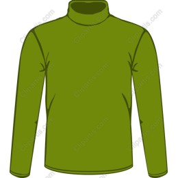 Green Turtleneck Long Sleeve Shirt