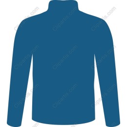 Long-Sleeve Collar Top
