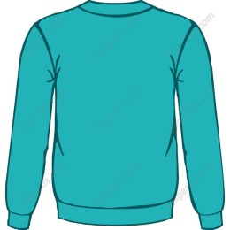 Teal Crewneck Sweatshirt