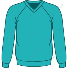 Vibrant V-Neck Sweatshirt