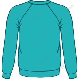 Teal Pullover Sweatshirt