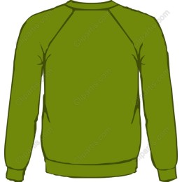 Stylish Green Sweatshirt