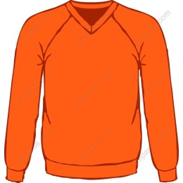 Vibrant Orange Crewneck Sweater