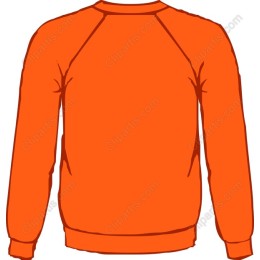 Vibrant Orange Sweatshirt