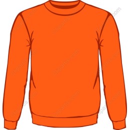 Vibrant Orange Sweatshirt