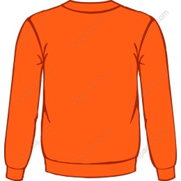 Vibrant Orange Sweatshirt