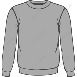 Gray Sweatshirt