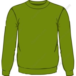 Stylish Green Sweater