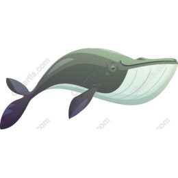 Whale