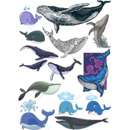 Whale Set: Majestic & Playful in and