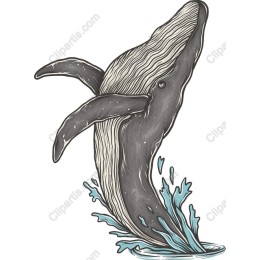 Whale Breaching