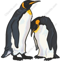 Emperor Penguin Duo