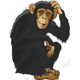 Contemplative Chimpanzee