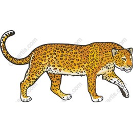 Leopard