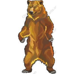 Majestic Bear