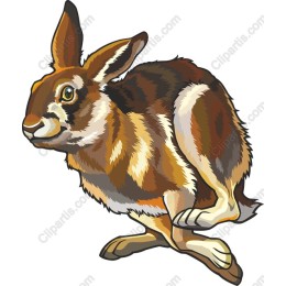Leaping Rabbit