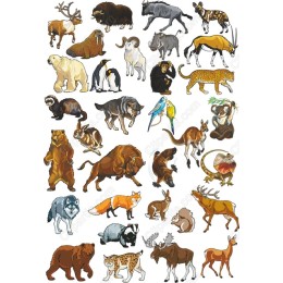 Wildlife Set - Bundle