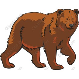  Bear in and