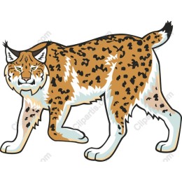 Lynx - Dynamic Wildlife Art