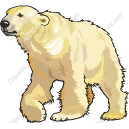 Majestic Polar Bear