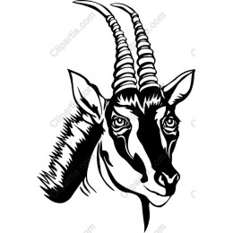 Majestic Gazelle Head