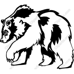 Majestic Bear