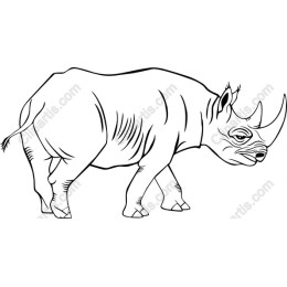 Hand-Drawn Rhinoceros