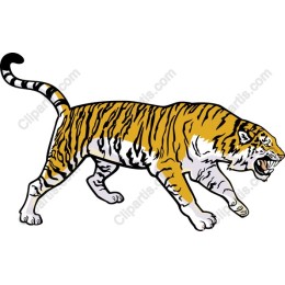 Fierce Tiger
