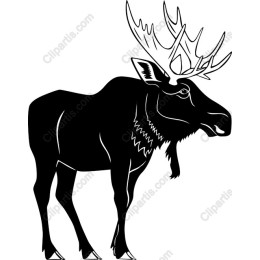 Moose