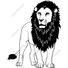Majestic Lion