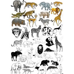 Animal Kingdom Bundle