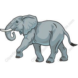 Majestic Elephant