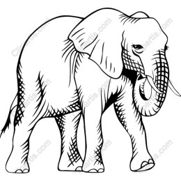 Majestic Elephant