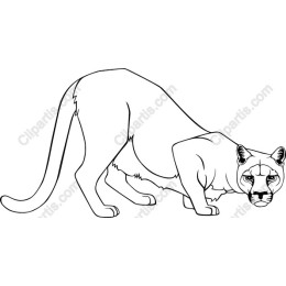 Pouncing Cougar