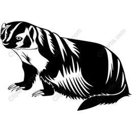 Badger