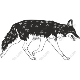 Stylish Wild Fox