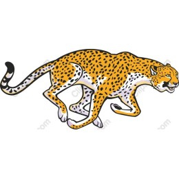 Running Leopard