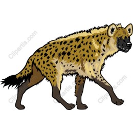 Hyena