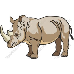 Rhinoceros