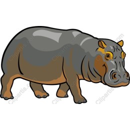 Hippo