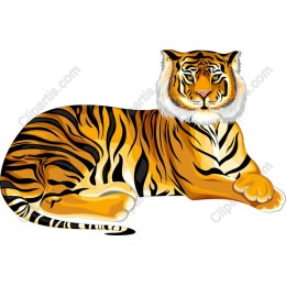 Majestic Tiger
