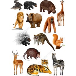 Animal Bundle: 15 Unique in and